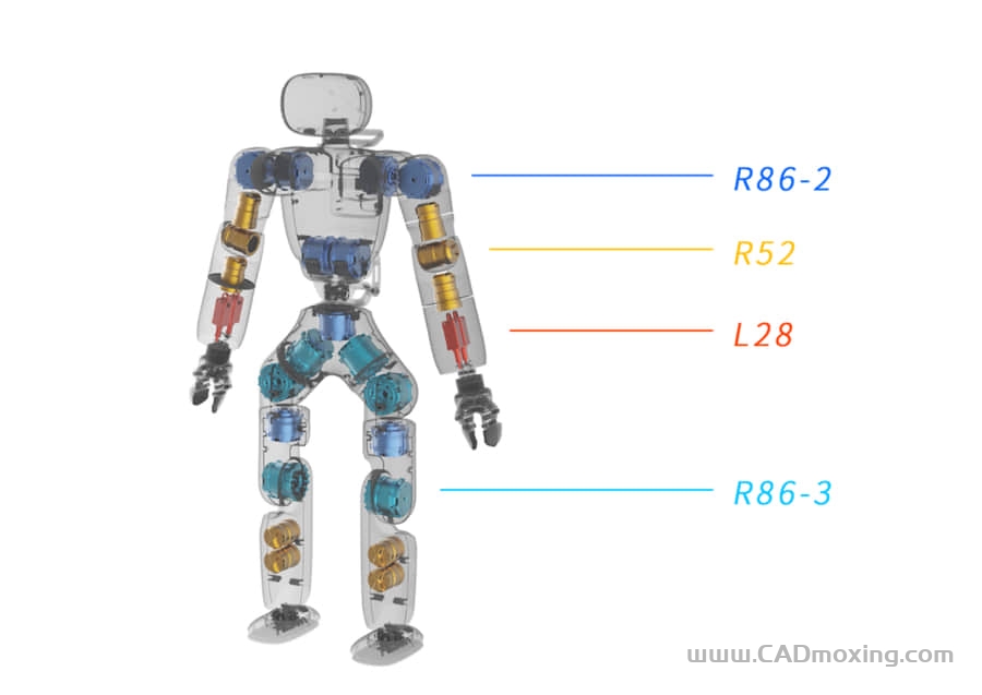 CAD模型网人形机器人设计方案模型三维模型