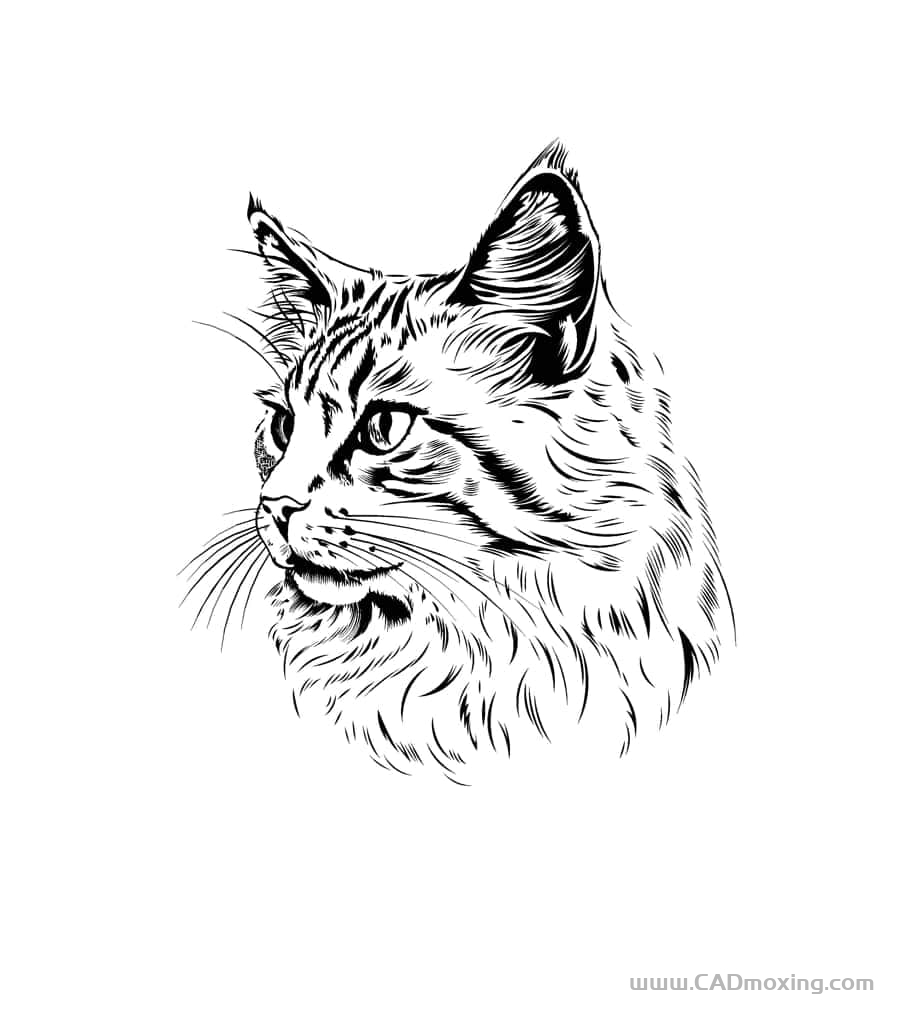 可雕刻3D猞猁猫头像