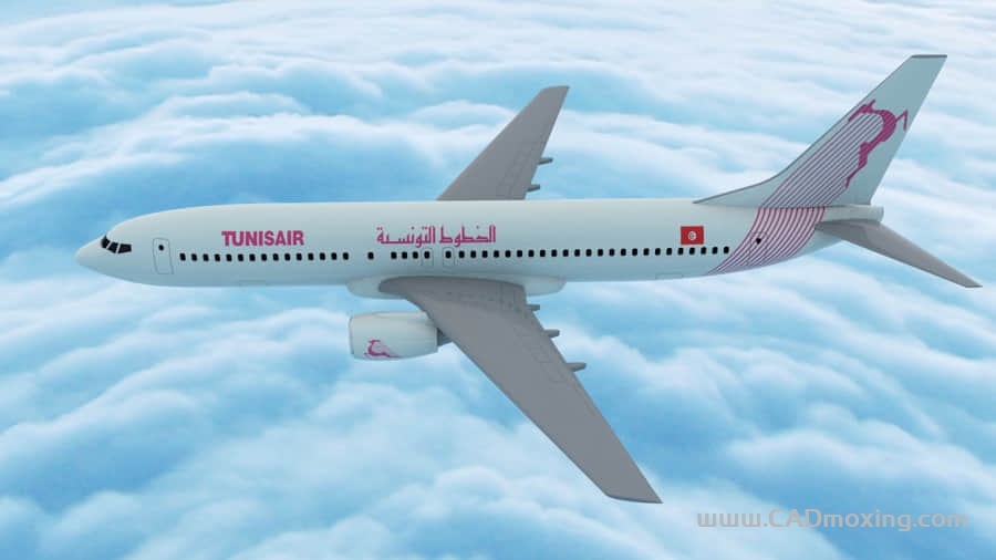 波音客机-737-700 一比一简易模型