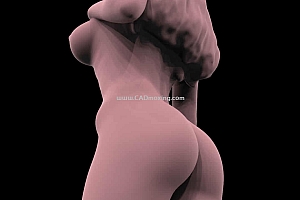 裸体女孩3D打印模型